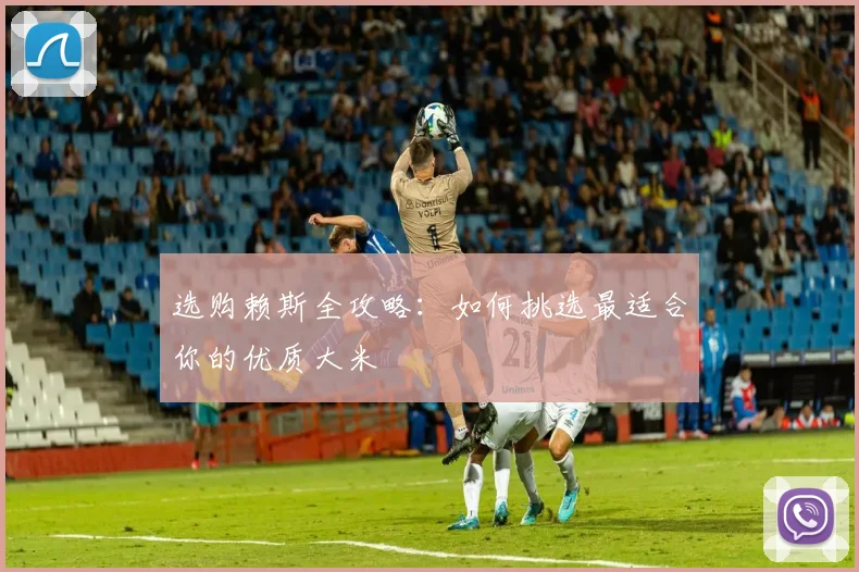 选购赖斯全攻略:如何挑选最适合你的优质大米